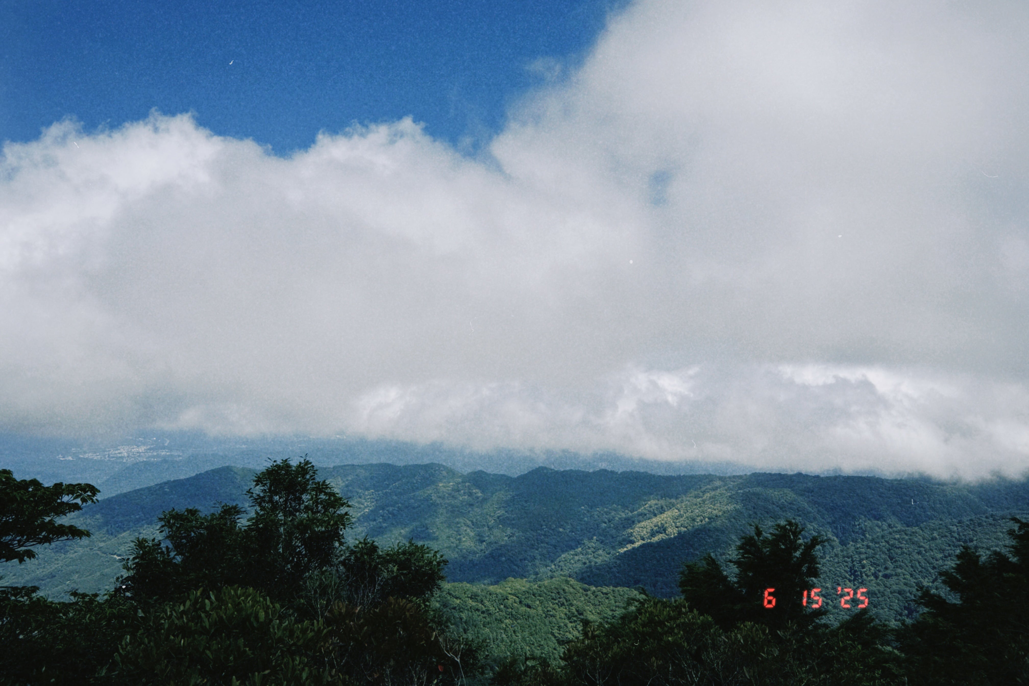走進新竹秘境森林:內鳥嘴山與神木群登山實記+CORSA裝備實測