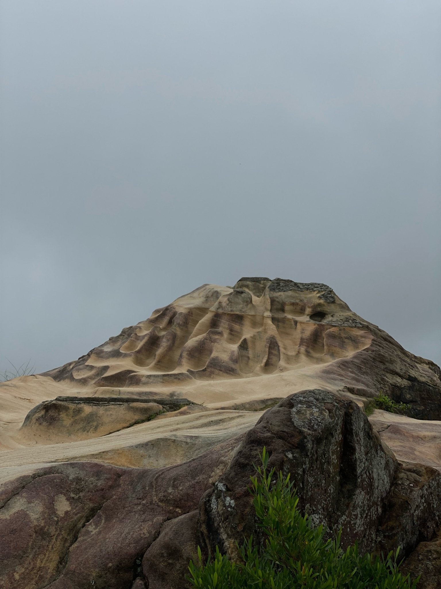 台北越野跑攻略—軍艦岩連峰:台北北投的秘境山徑 + CORSA 高強度多地形實戰體驗 - VIGHT