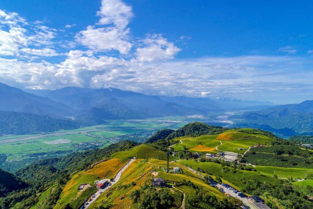 炎炎夏日,報復性出遊,連續假期玩花東 - VIGHT