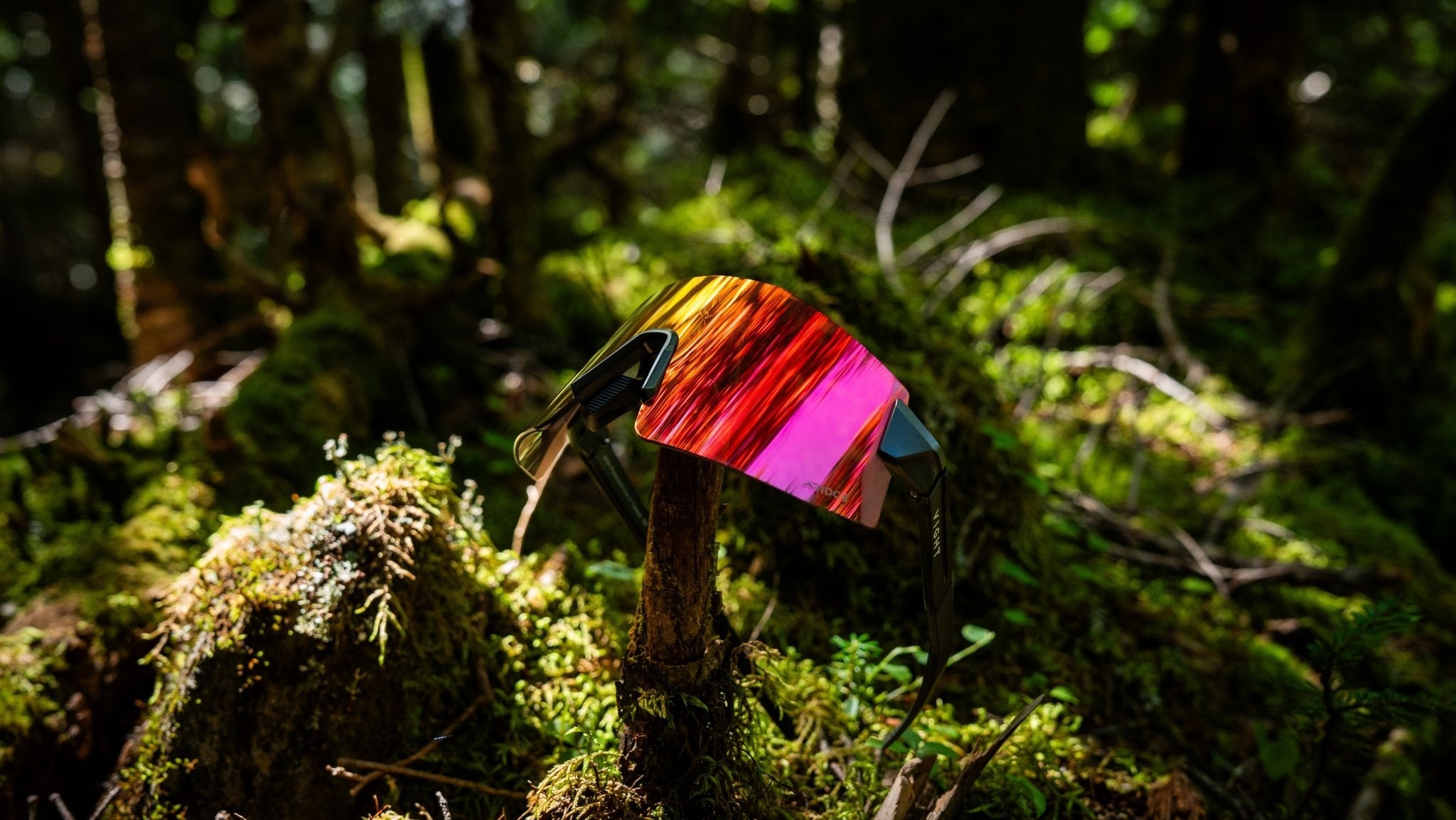 為什麼秋冬更該戴太陽眼鏡？我們來說說紫外線——秋冬護眼全攻略！ - VIGHT